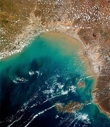 Advanced Aerial Imagery for Smarter Environmental Decision-Making